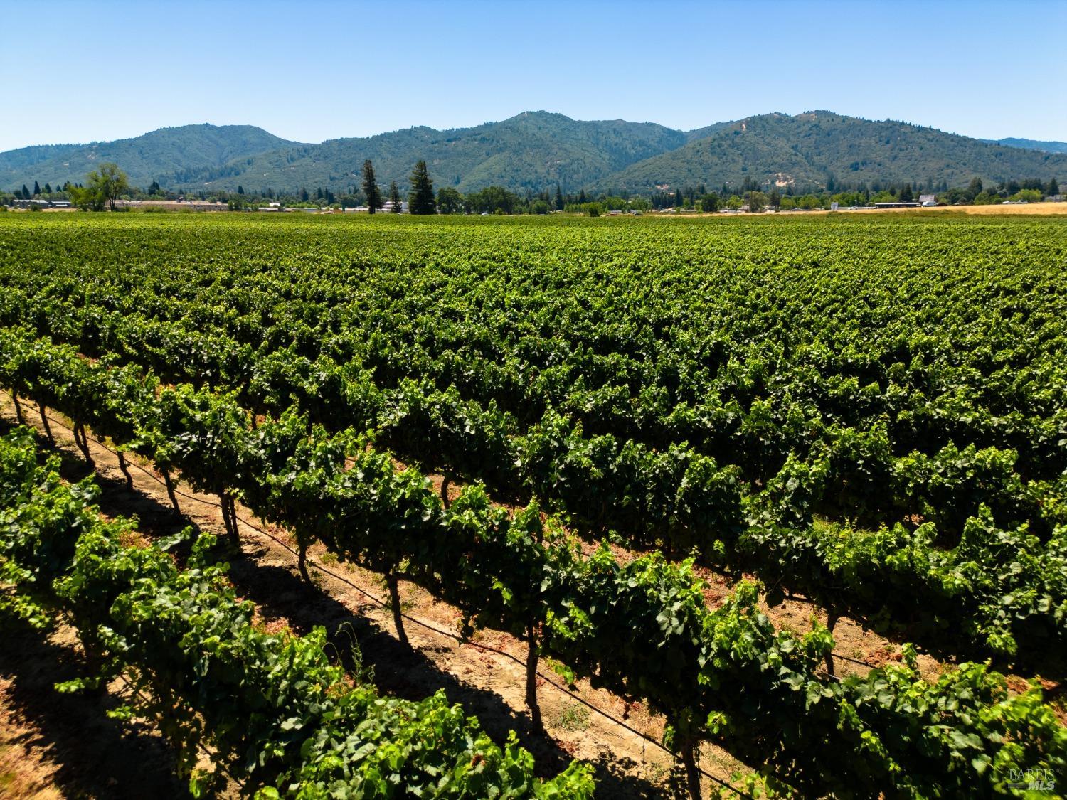 700 Ford Road Ukiah, CA 95482 - Photo 24 of 37 a view of a lush green hillside and a building