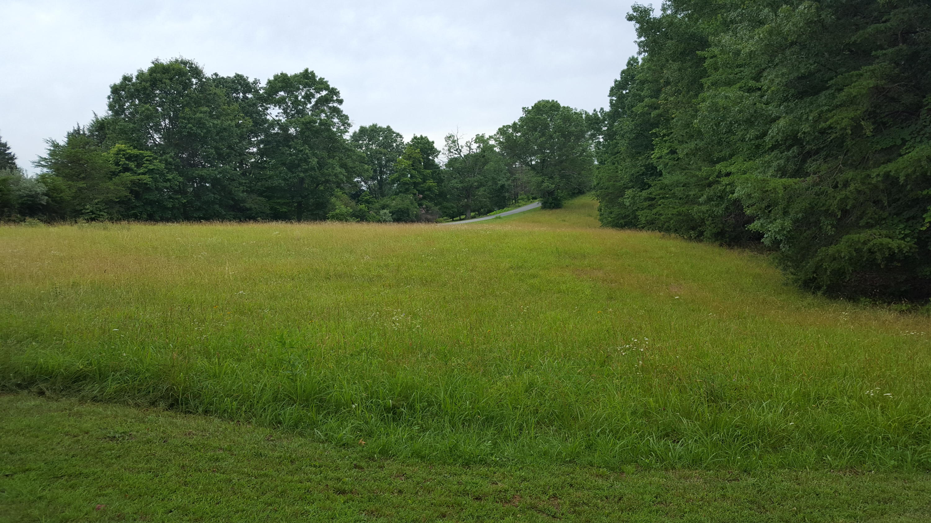 1285 Fairfield Road Henry, VA 24102 - Photo 2 of 11 a view of a big yard with green space