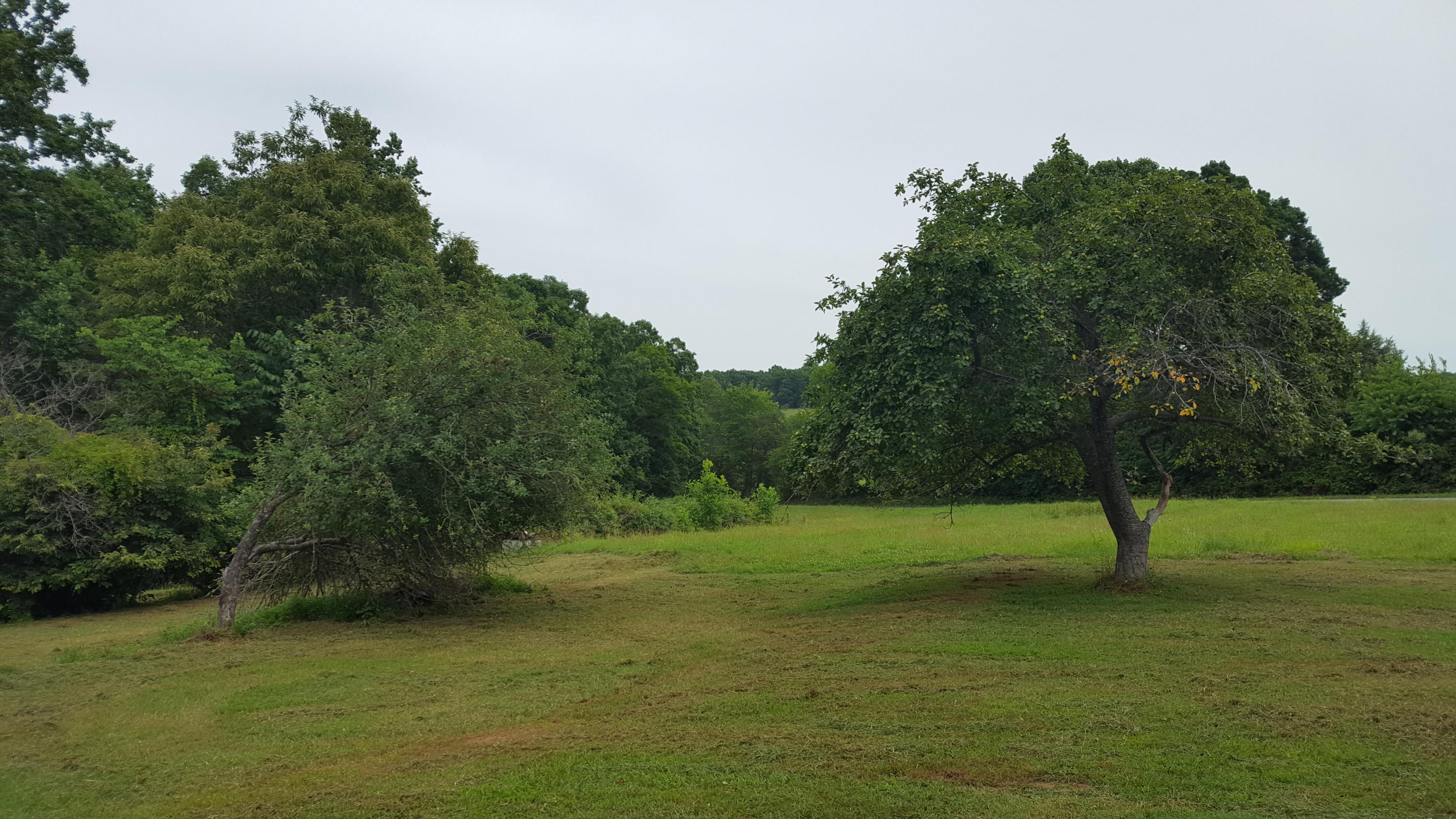 1285 Fairfield Road Henry, VA 24102 - Photo 4 of 11 a view of a field with trees in background