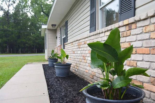 a view of a back yard of the house