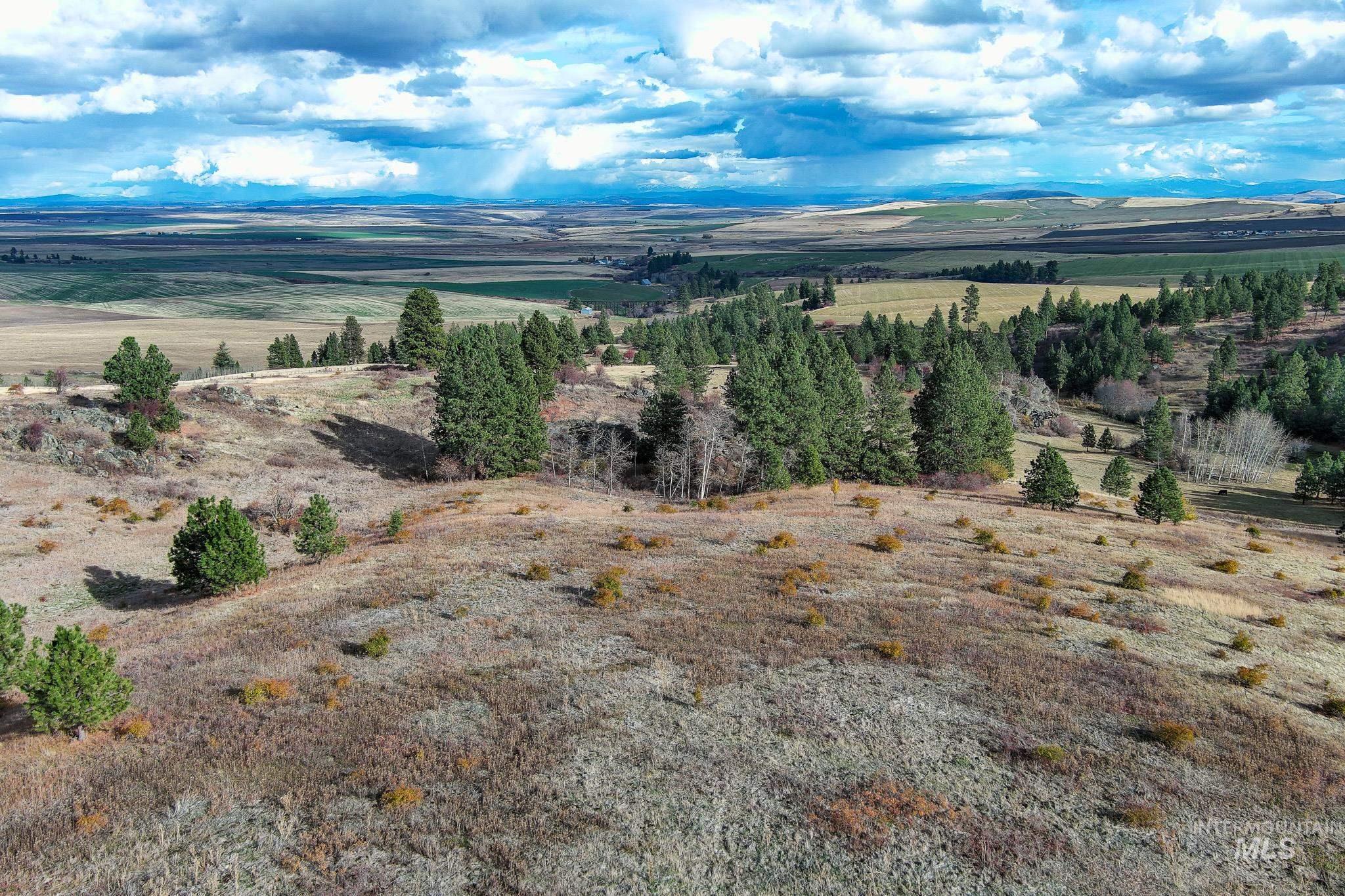 Tbd Tbd Over Yonder Road Cottonwood, ID 83522 - Photo 11 of 12 View of mountain background featuring rural landscape