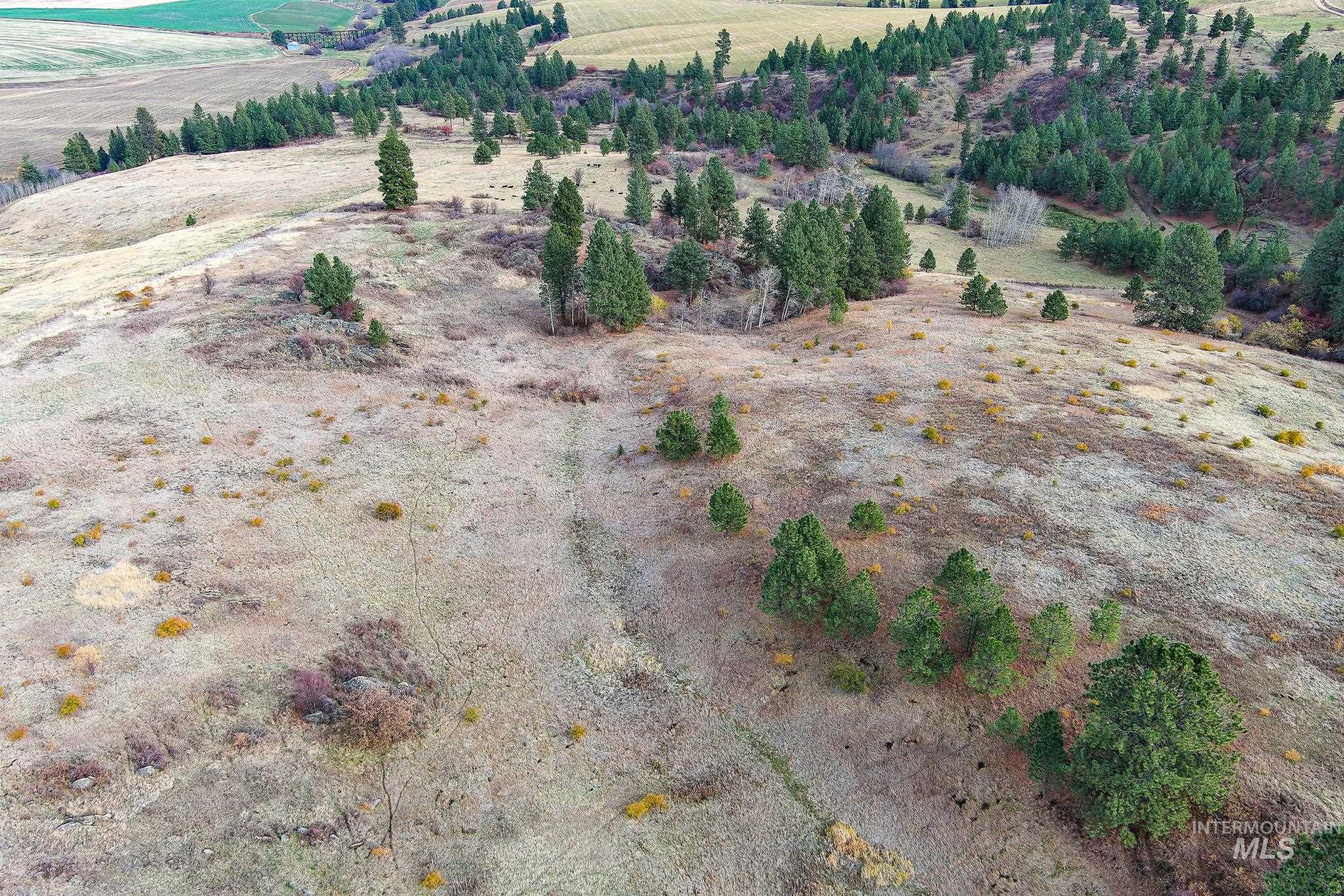 Tbd Tbd Over Yonder Road Cottonwood, ID 83522 - Photo 12 of 12 Aerial view of property and surrounding area with rural landscape