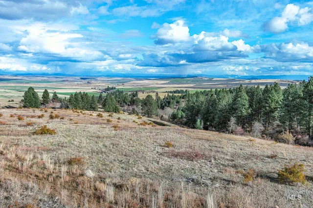 $275,000 | Tbd Tbd Over Yonder Road, Cottonwood, ID 83522