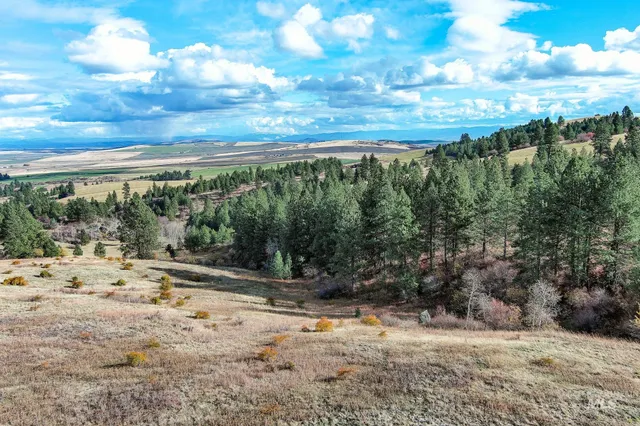 $275,000 | Tbd Tbd Over Yonder Road, Cottonwood, ID 83522