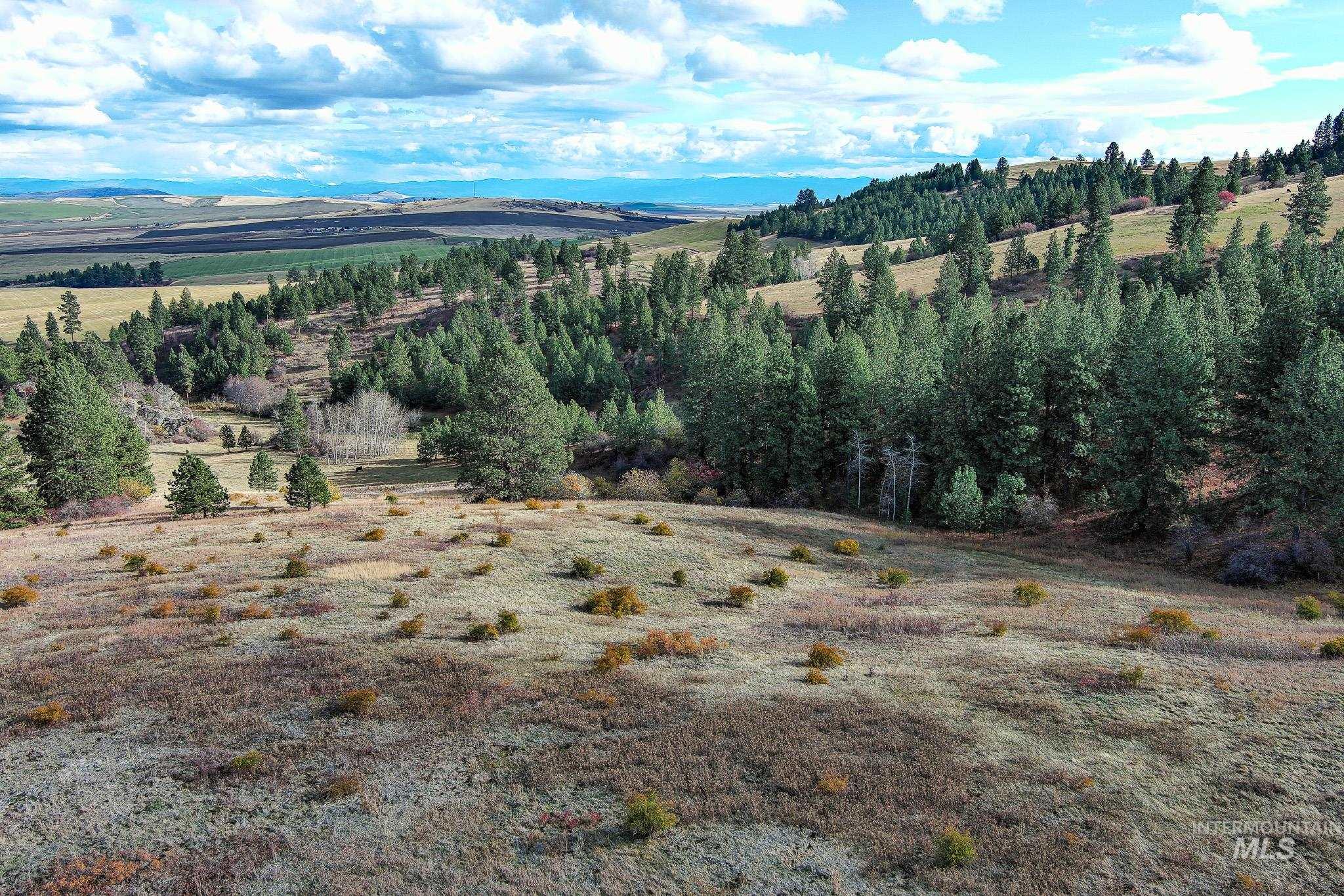 Tbd Tbd Over Yonder Road Cottonwood, ID 83522 - Photo 6 of 12 Aerial overview of property's location featuring a mountainous background