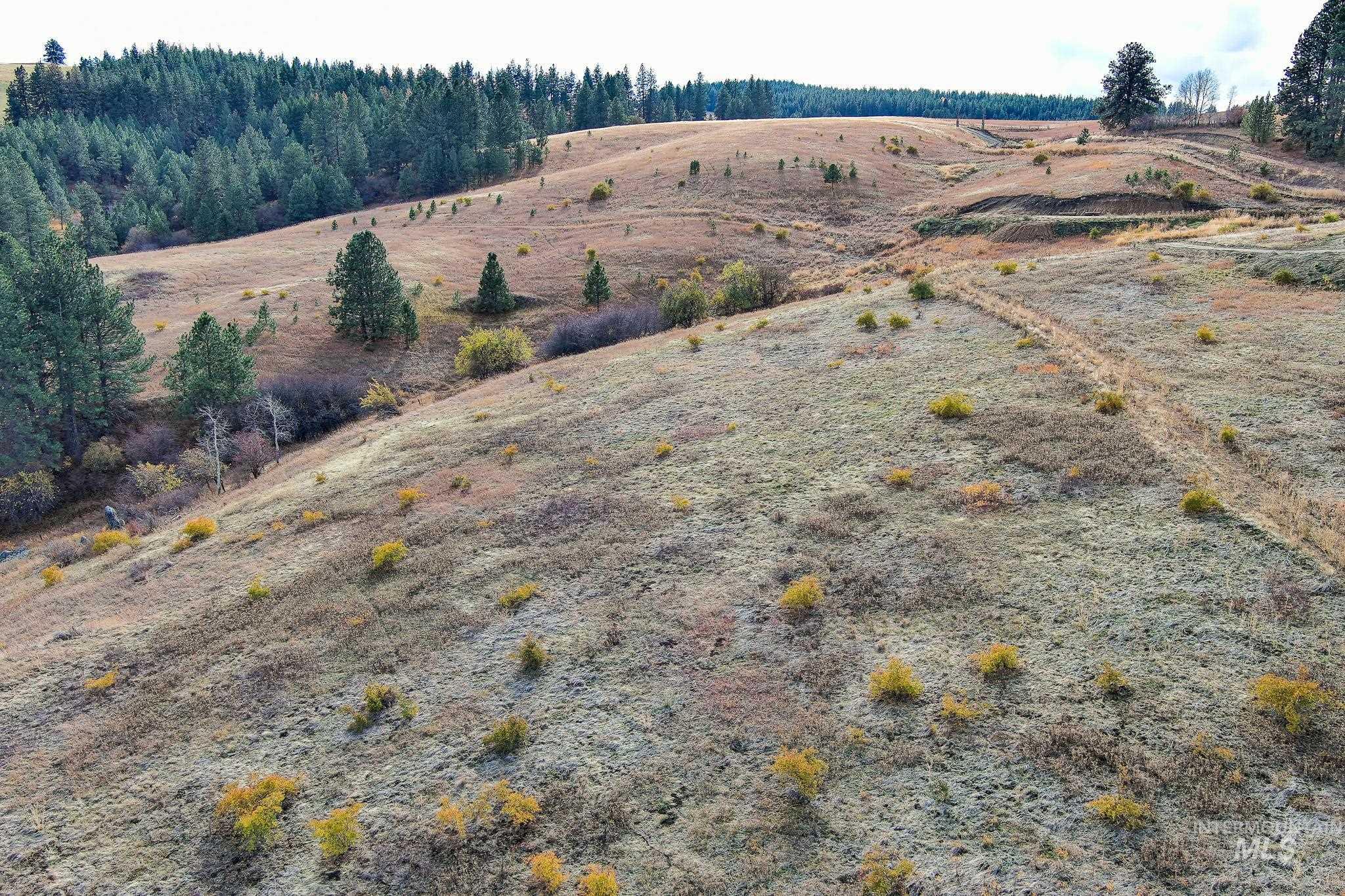Tbd Tbd Over Yonder Road Cottonwood, ID 83522 - Photo 7 of 12 Mountain view featuring rural landscape