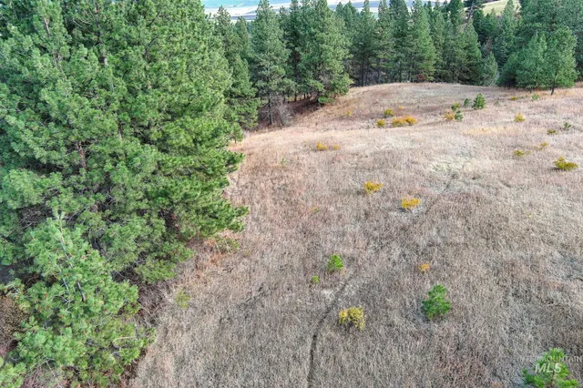 $275,000 | Tbd Tbd Over Yonder Road, Cottonwood, ID 83522