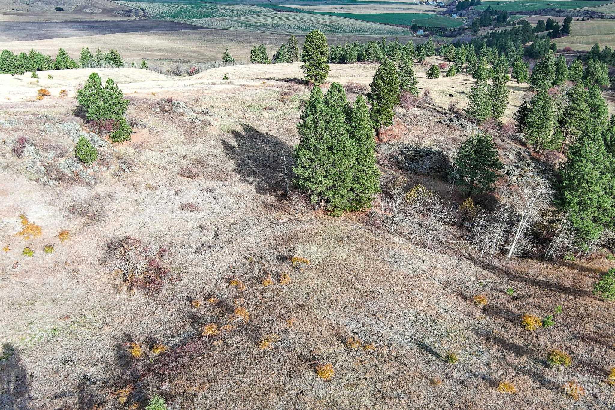 Tbd Tbd Over Yonder Road Cottonwood, ID 83522 - Photo 10 of 12 View of property location featuring rural landscape