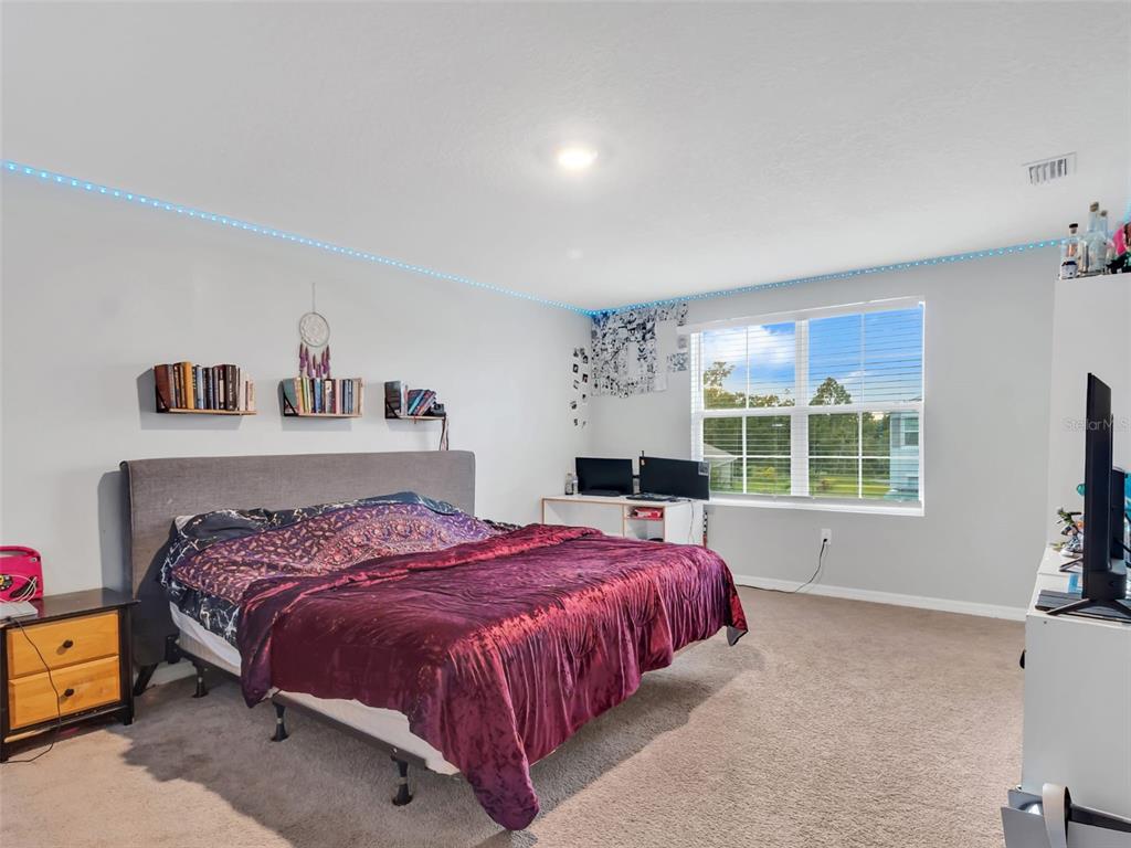 16636 Windmill Forge Pass Wimauma, FL 33598 - Photo 4 of 23