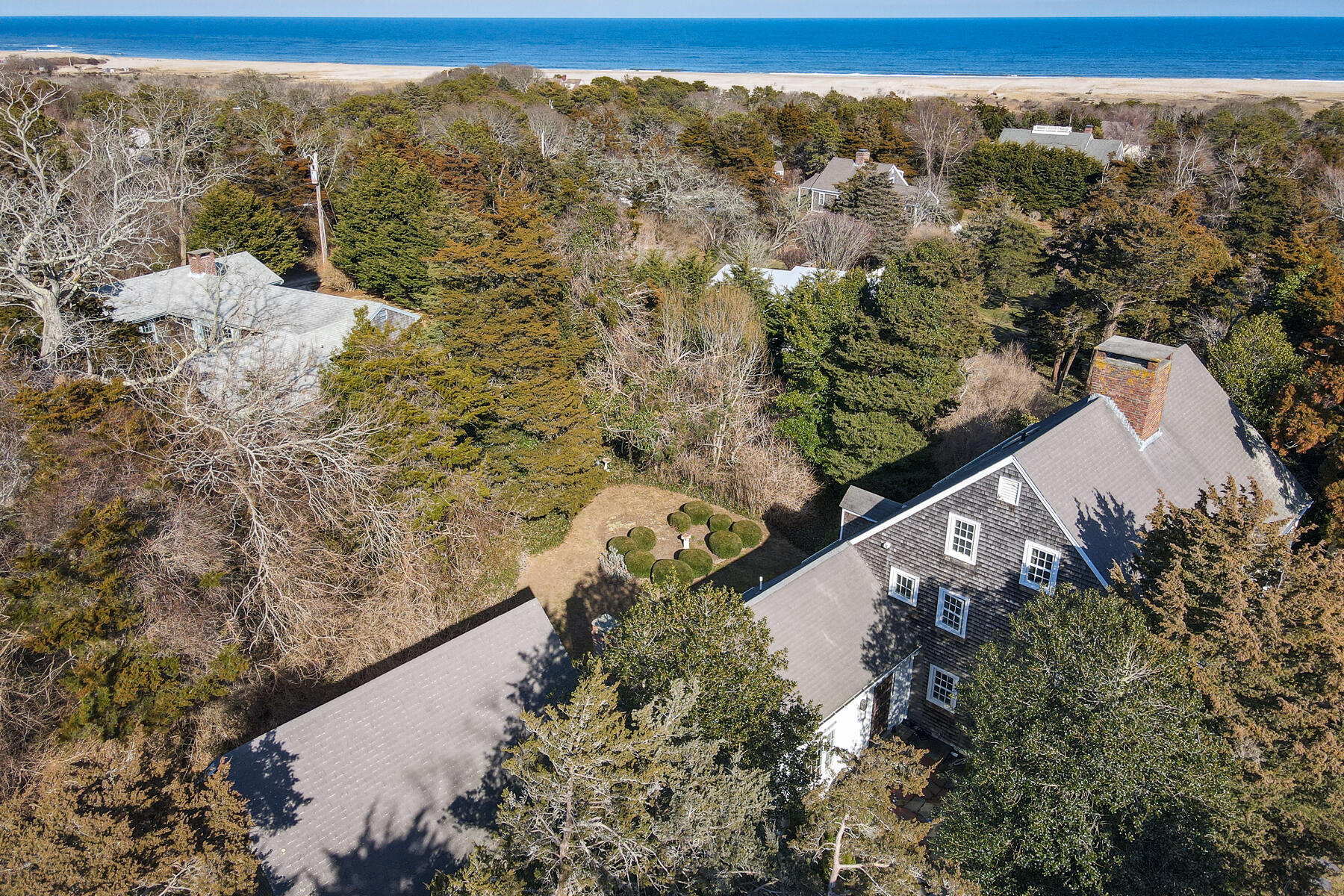 163 Pochet Road Orleans, MA 02653 - Photo 56 of 67 a view of a forest with a forest