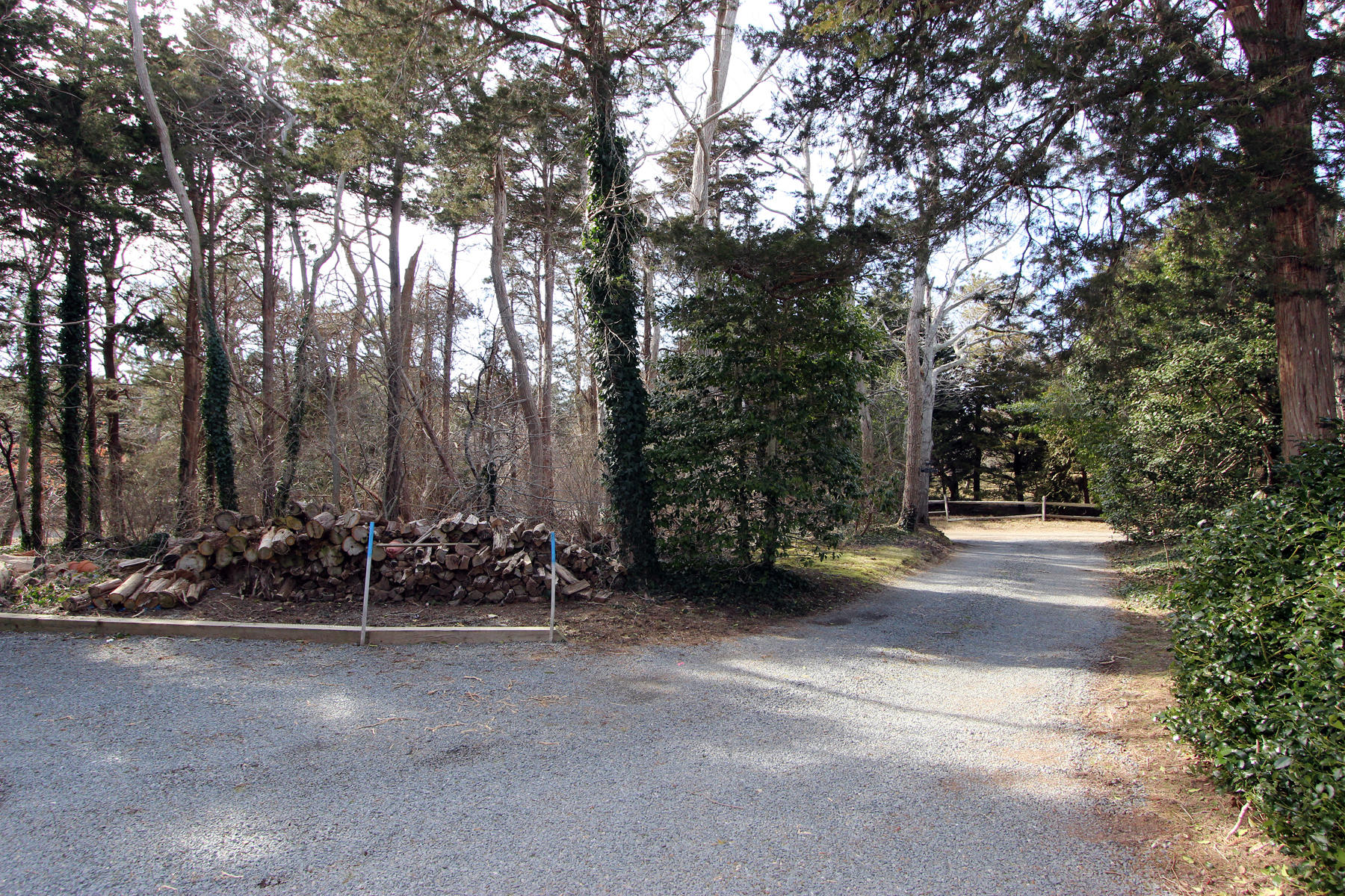 163 Pochet Road Orleans, MA 02653 - Photo 58 of 67 a view of a back yard of the house