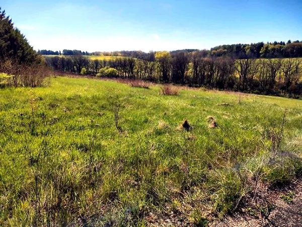 $175,000 | Lot 13 Holly, Belleville, WI 53508