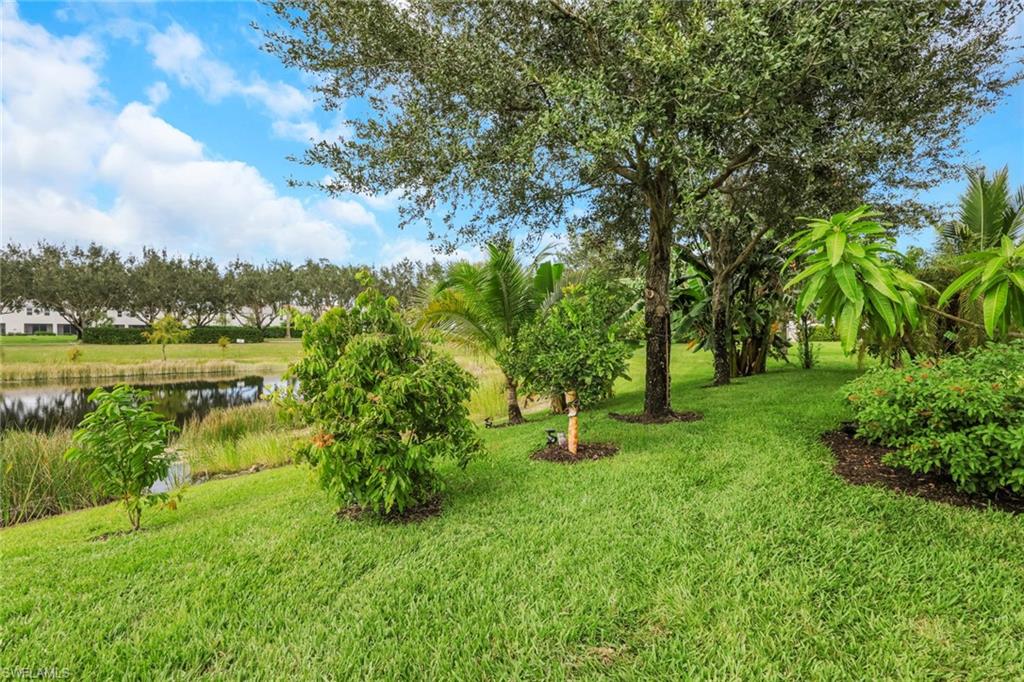 2045 Mandarin Lane Naples, FL 34120 - Photo 34 of 34 a huge green field with lots of bushes