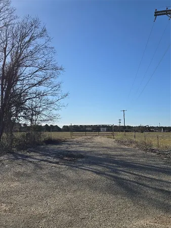 a view of a yard
