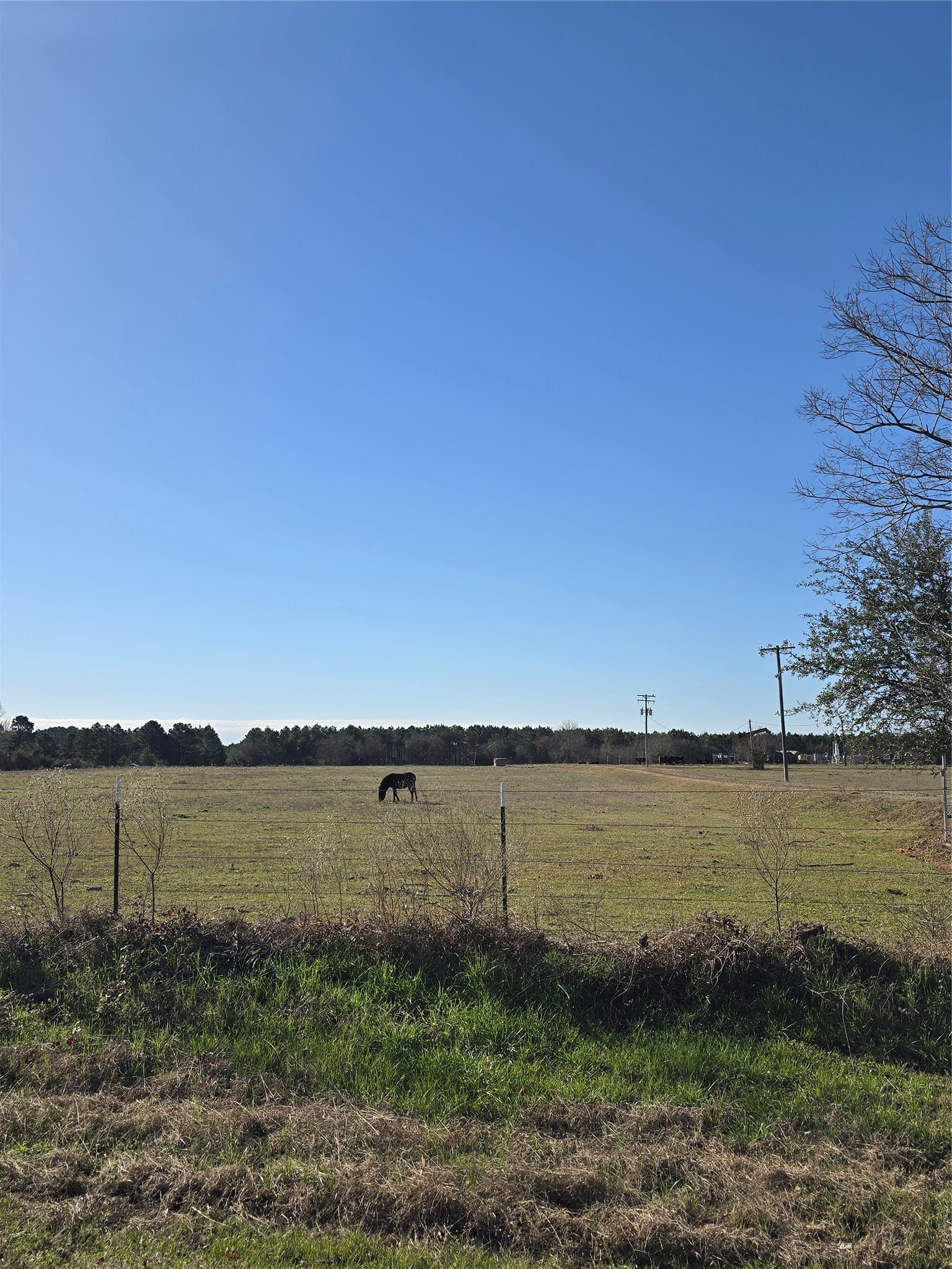 0 Fm 349 Kilgore, TX 75662 - Photo 4 of 5 a view of a lake with a beach