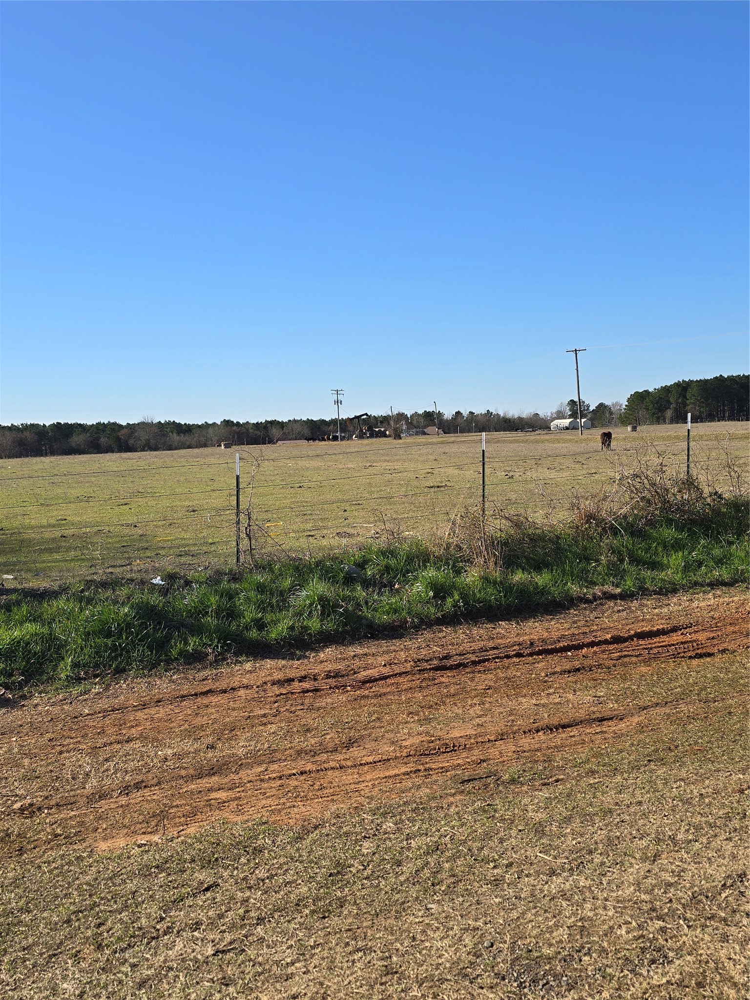 0 Fm 349 Kilgore, TX 75662 - Photo 5 of 5 a view of a lake with a beach