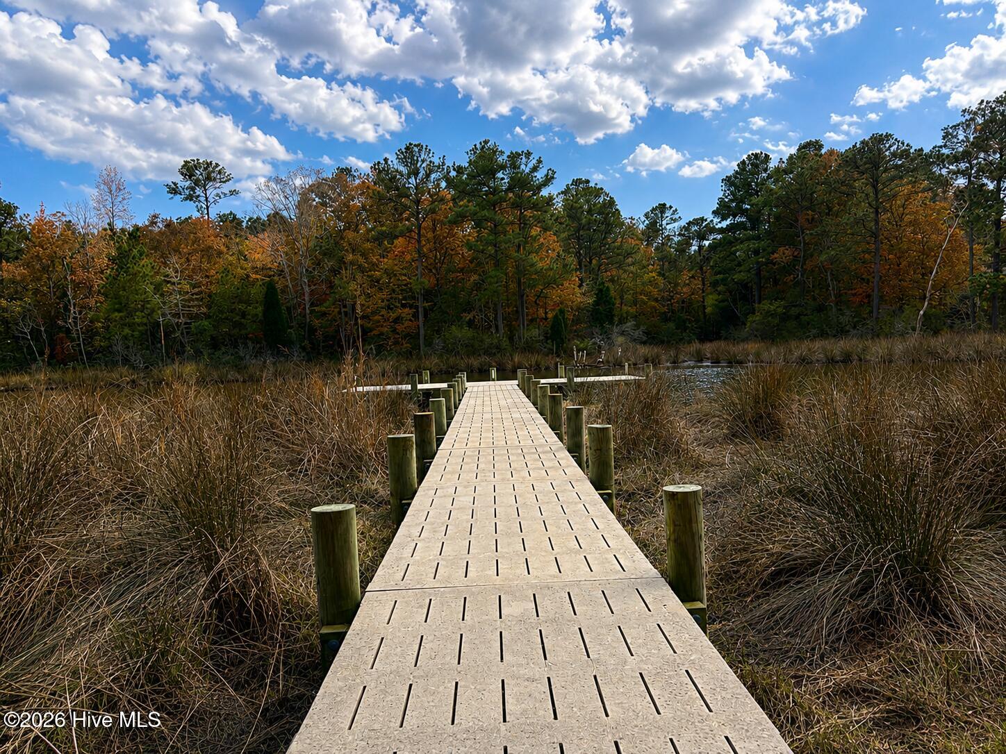408 Tarpon Pointe Road Bath, NC 27808 - Photo 9 of 14 408 Tarpon Pier Fall