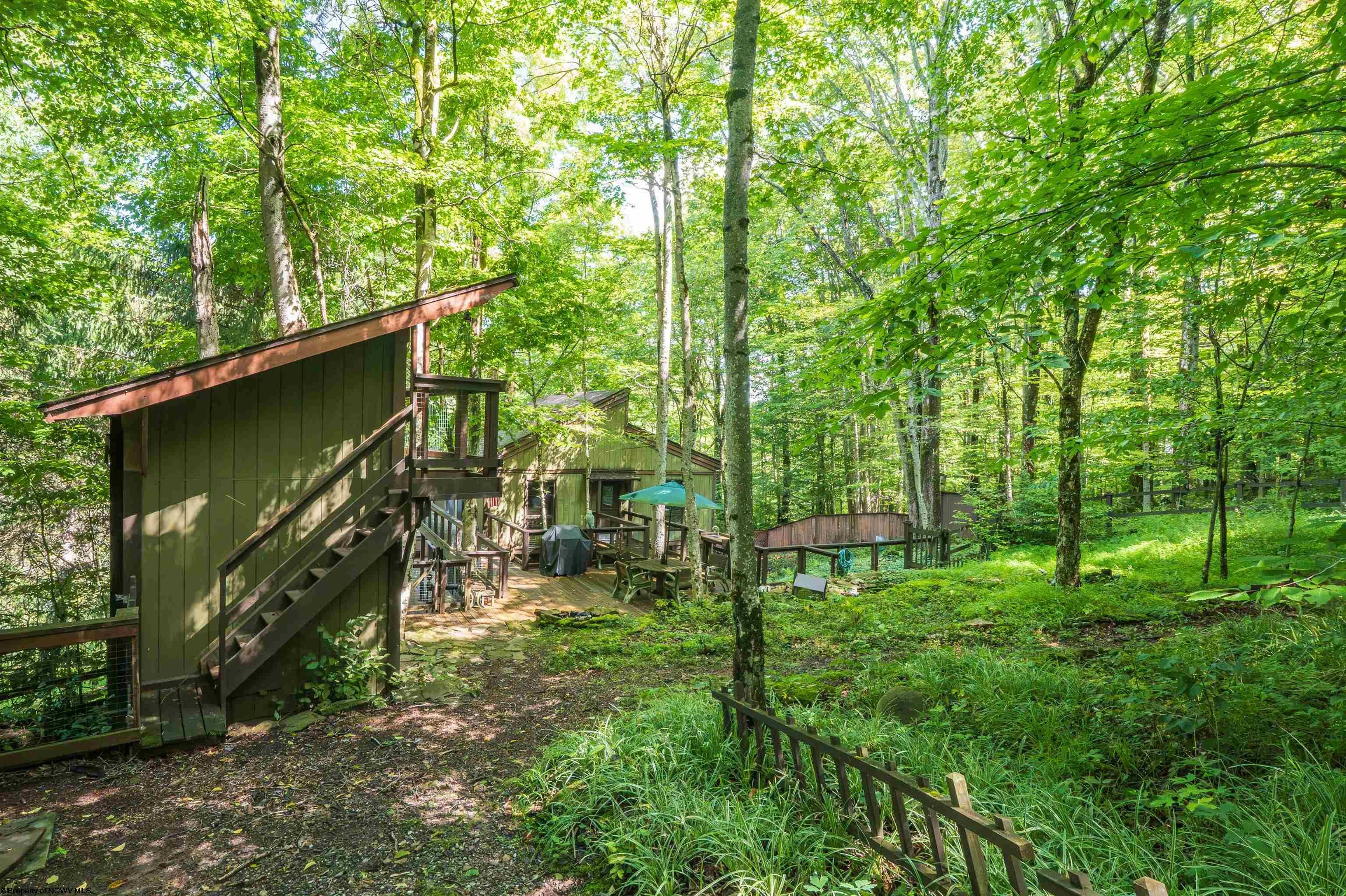 270 Sand Run Road Davis, WV 26260 - Photo 8 of 35 Gallery Image 8