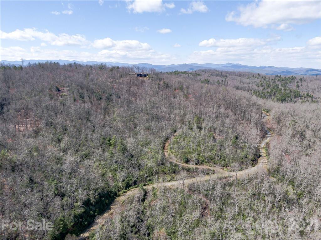 Lot 20 Hawkins Hollow Road Landrum, SC 29356 - Photo 14 of 25 Gallery Image 14