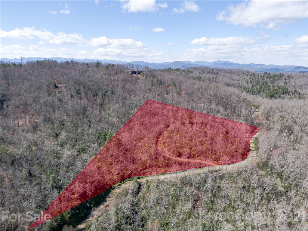 Lot 20 Hawkins Hollow Road Landrum, SC 29356 - Photo 15 of 25 Gallery Image 15
