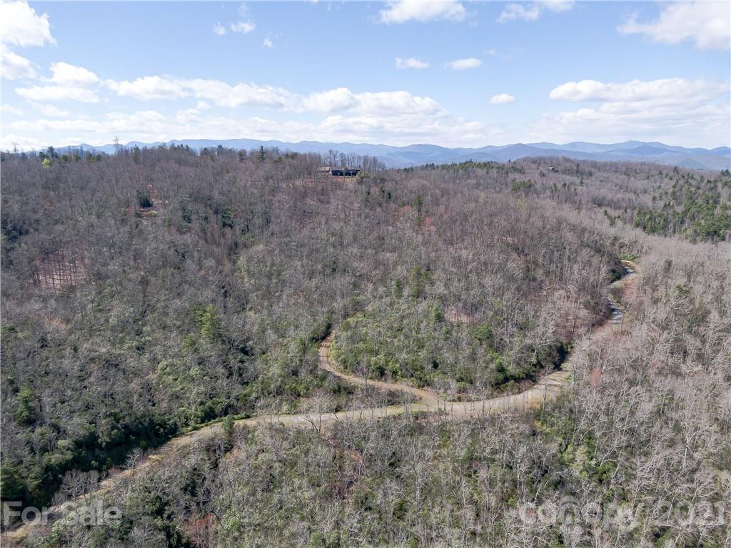 Lot 20 Hawkins Hollow Road Landrum, SC 29356 - Photo 16 of 25 Gallery Image 16