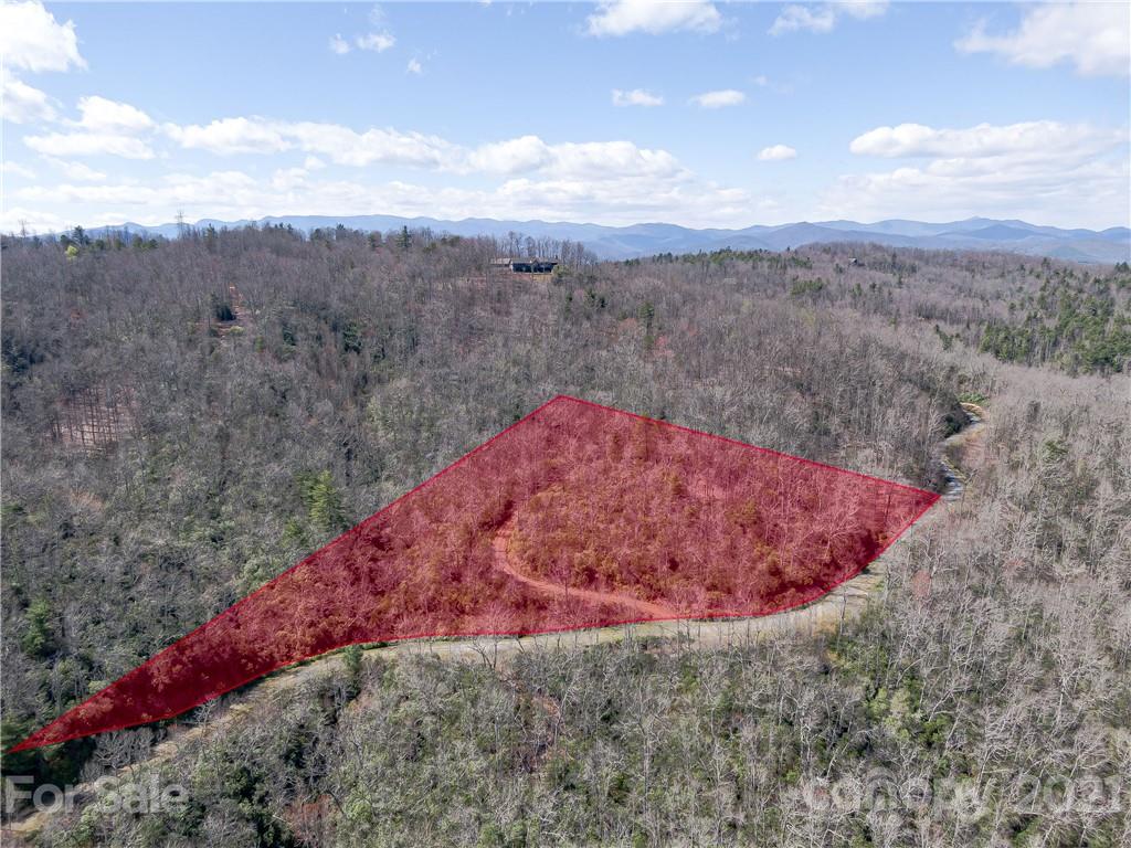 Lot 20 Hawkins Hollow Road Landrum, SC 29356 - Photo 17 of 25 Gallery Image 17