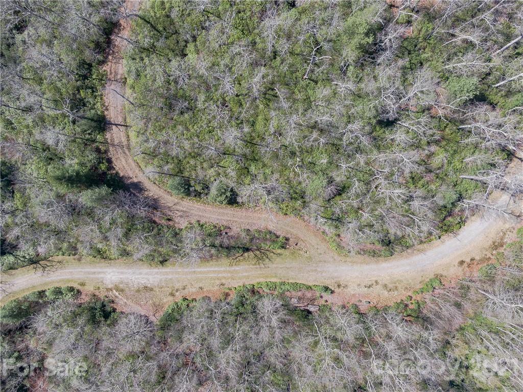 Lot 20 Hawkins Hollow Road Landrum, SC 29356 - Photo 18 of 25 Gallery Image 18