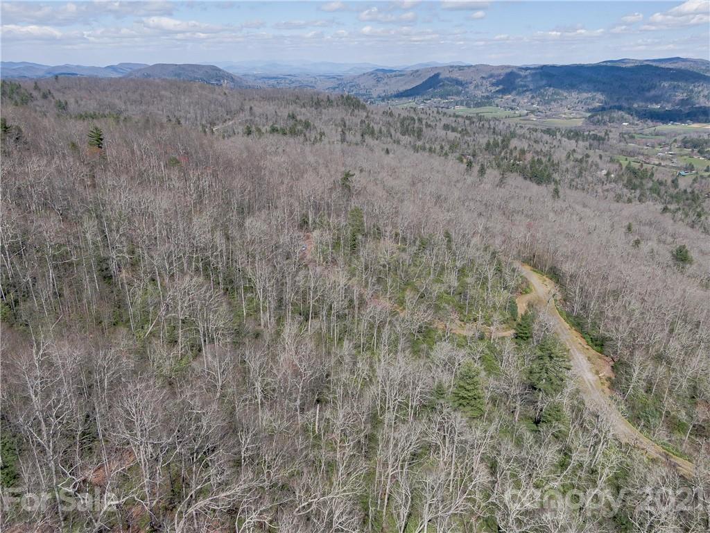 Lot 20 Hawkins Hollow Road Landrum, SC 29356 - Photo 19 of 25 Gallery Image 19