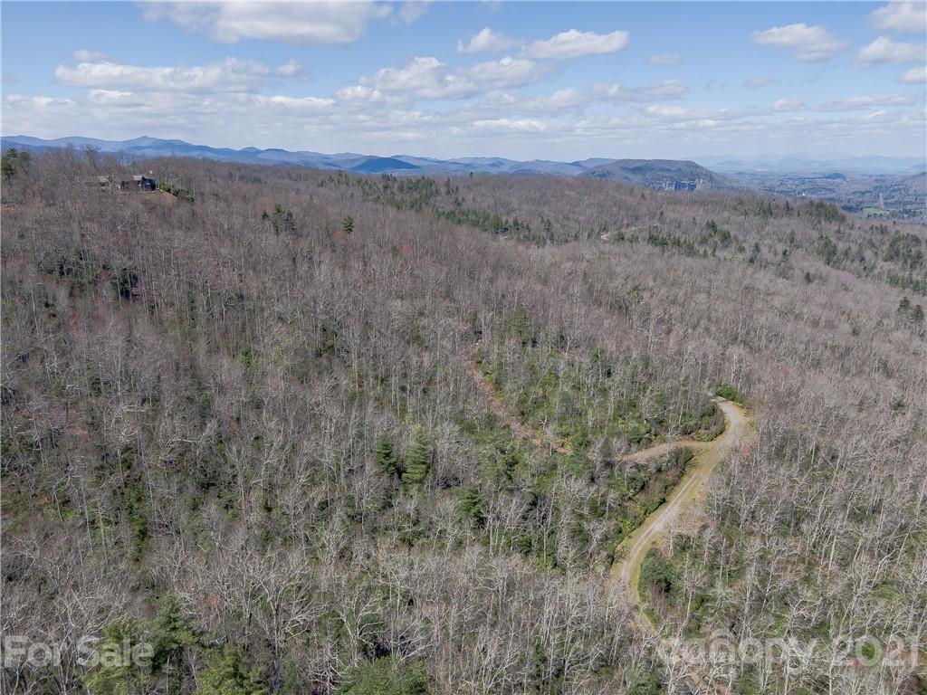 Lot 20 Hawkins Hollow Road Landrum, SC 29356 - Photo 21 of 25 Gallery Image 21