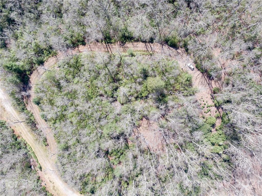 Lot 20 Hawkins Hollow Road Landrum, SC 29356 - Photo 22 of 25 Gallery Image 22