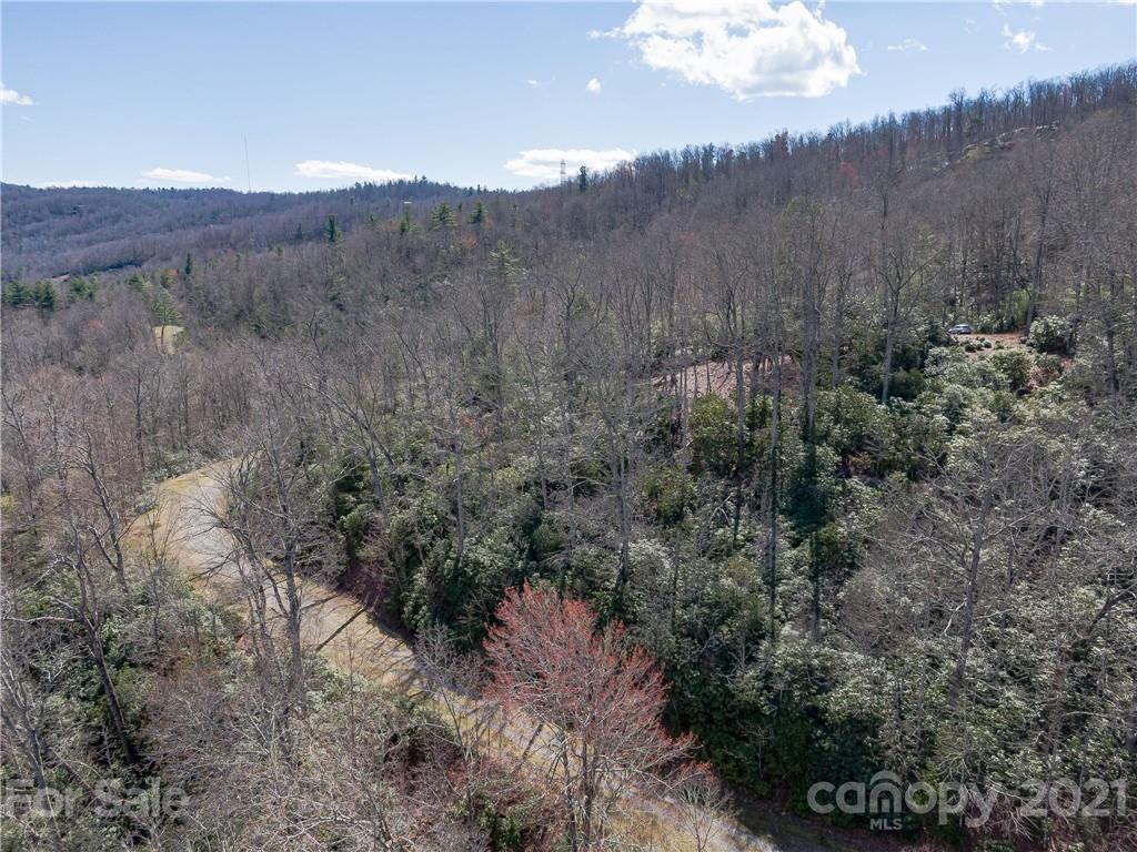 Lot 20 Hawkins Hollow Road Landrum, SC 29356 - Photo 23 of 25 Gallery Image 23
