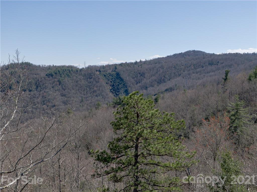 Lot 20 Hawkins Hollow Road Landrum, SC 29356 - Photo 25 of 25 Gallery Image 25