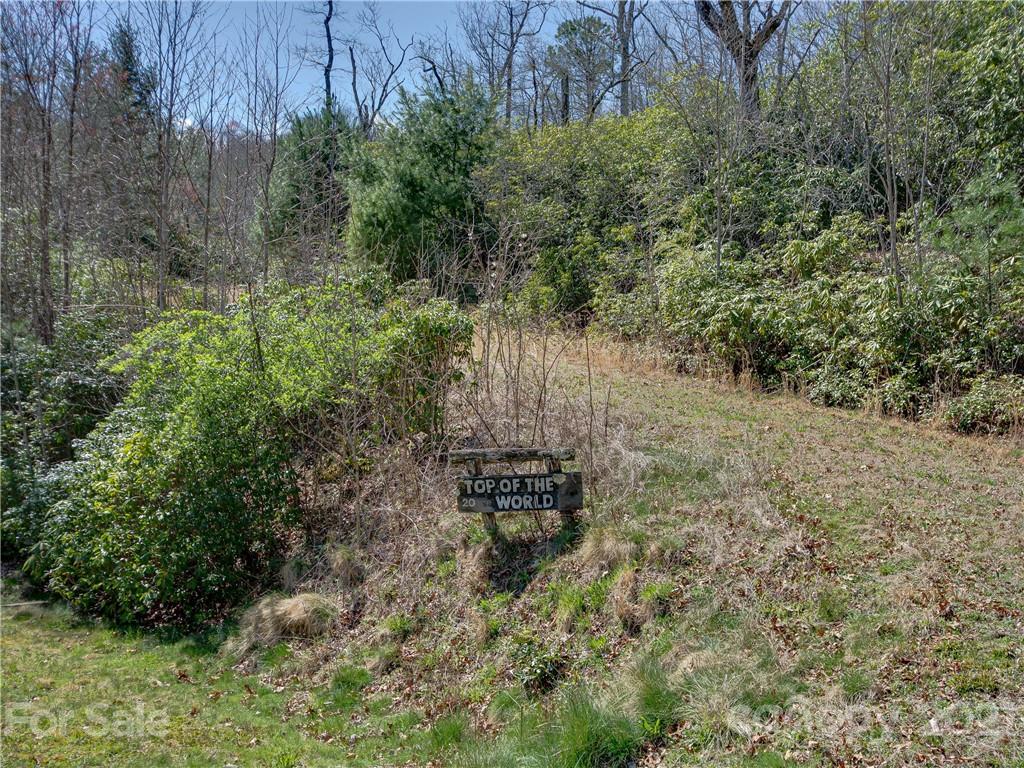 Lot 20 Hawkins Hollow Road Landrum, SC 29356 - Photo 8 of 25 Gallery Image 8