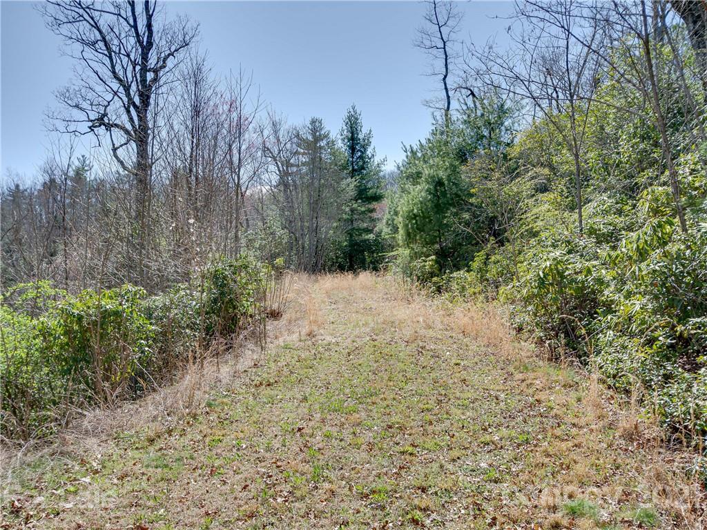 Lot 20 Hawkins Hollow Road Landrum, SC 29356 - Photo 9 of 25 Gallery Image 9