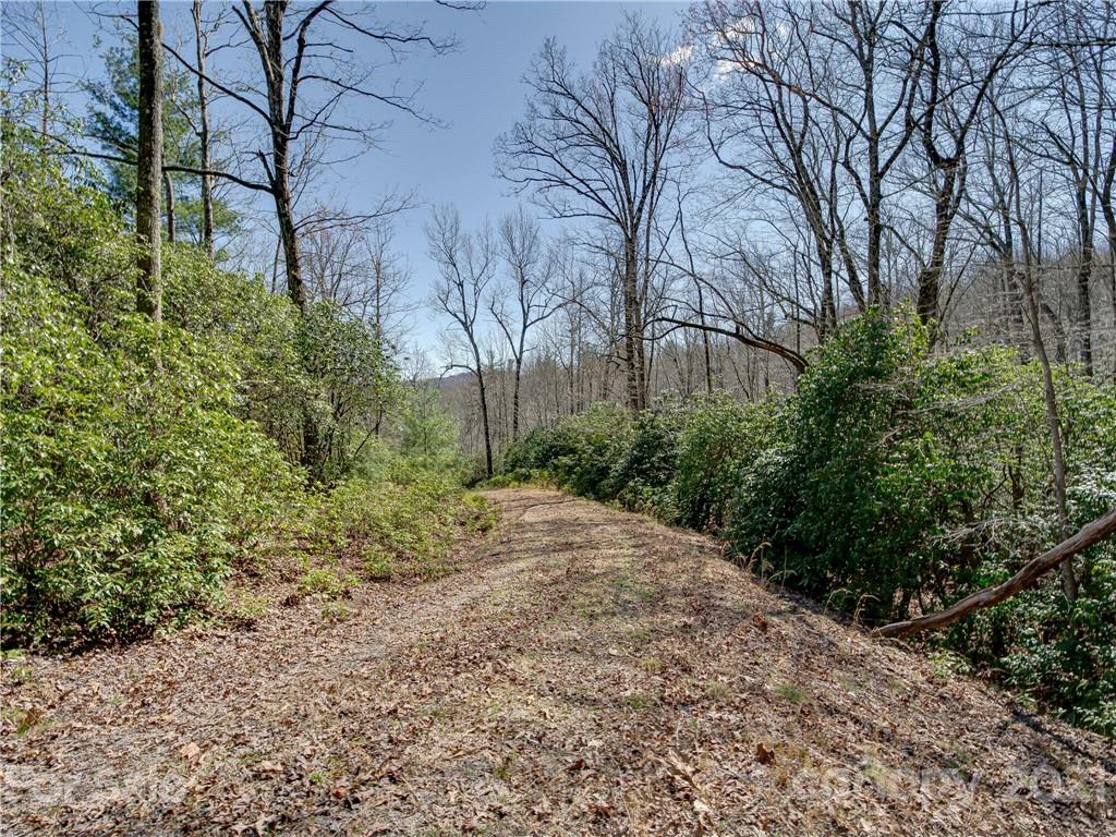 Lot 20 Hawkins Hollow Road Landrum, SC 29356 - Photo 10 of 25 Gallery Image 10