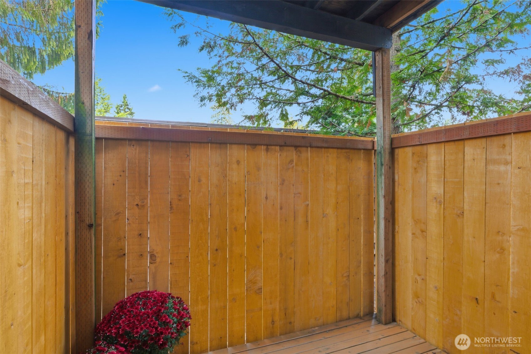 8621 25th Avenue Southwest, Unit B Seattle, WA 98106 - Photo 5 of 33 a view of backyard with cabin