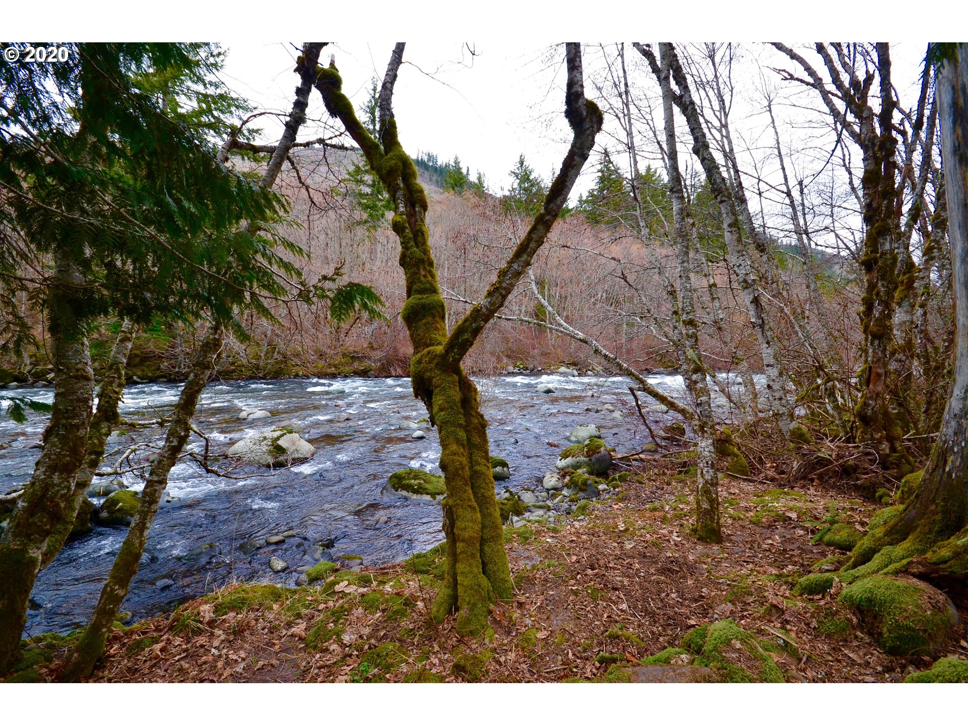 5700 Lost Lake Road, Unit 1 Hood River, OR 97031 - Photo 11 of 16 Gallery Image 11