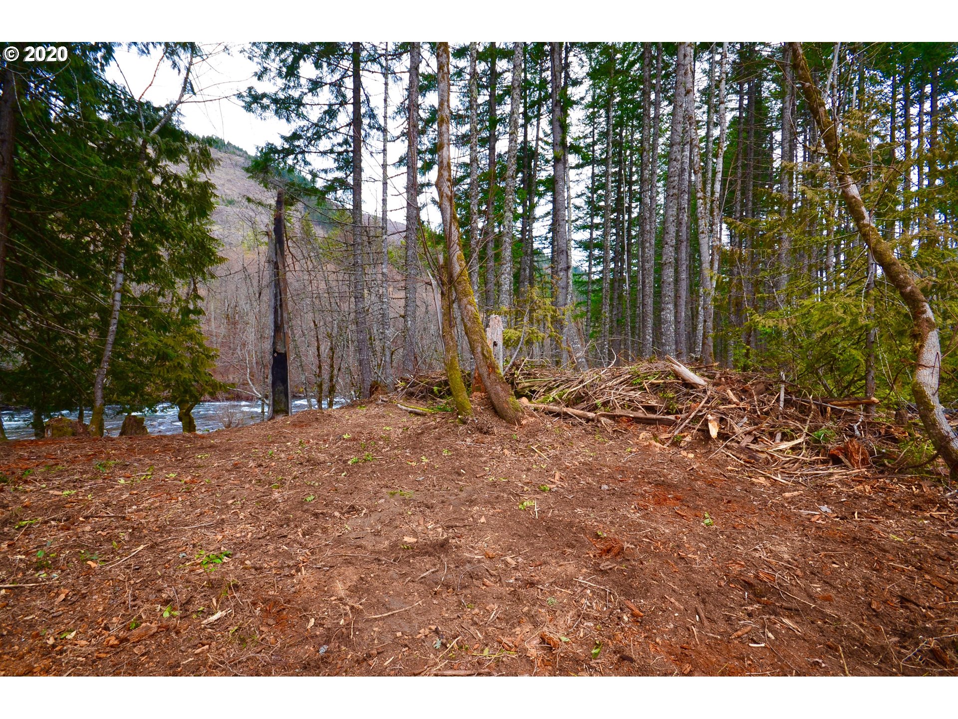 5700 Lost Lake Road, Unit 1 Hood River, OR 97031 - Photo 12 of 16 Gallery Image 12