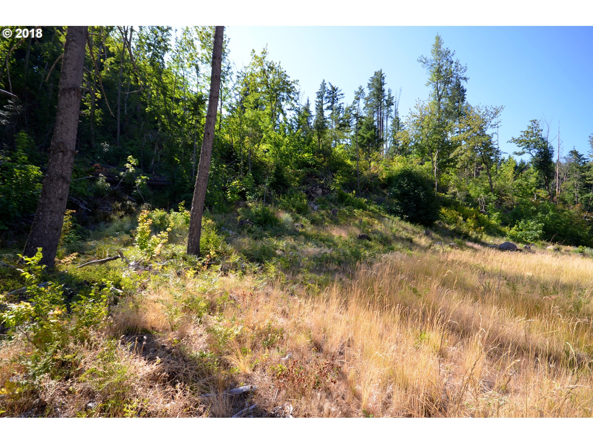 5700 Lost Lake Road, Unit 1 Hood River, OR 97031 - Photo 14 of 16 Gallery Image 14