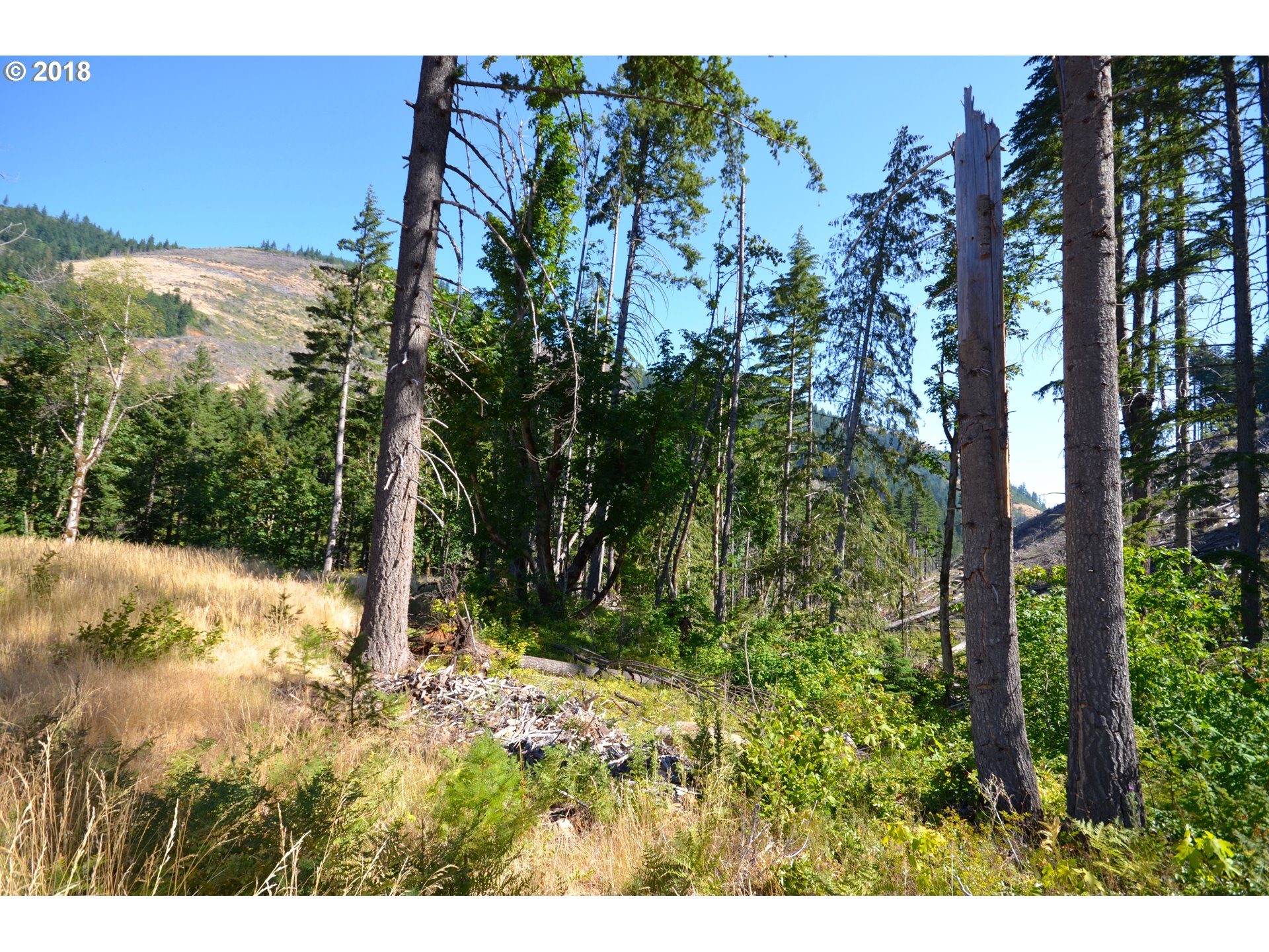5700 Lost Lake Road, Unit 1 Hood River, OR 97031 - Photo 15 of 16 Gallery Image 15