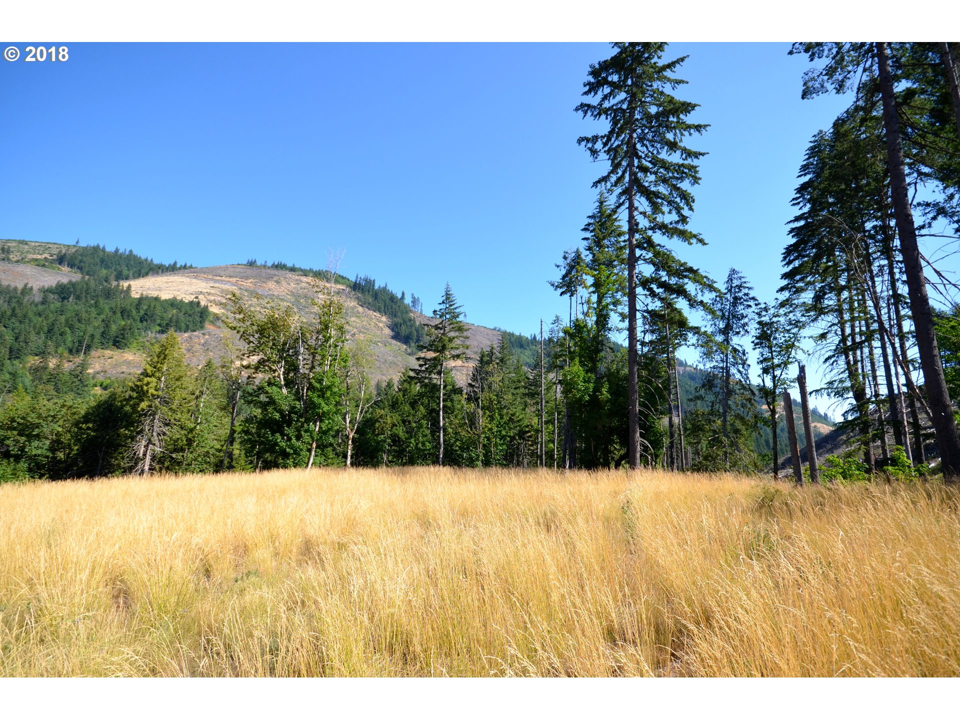 5700 Lost Lake Road, Unit 1 Hood River, OR 97031 - Photo 4 of 16 Gallery Image 4