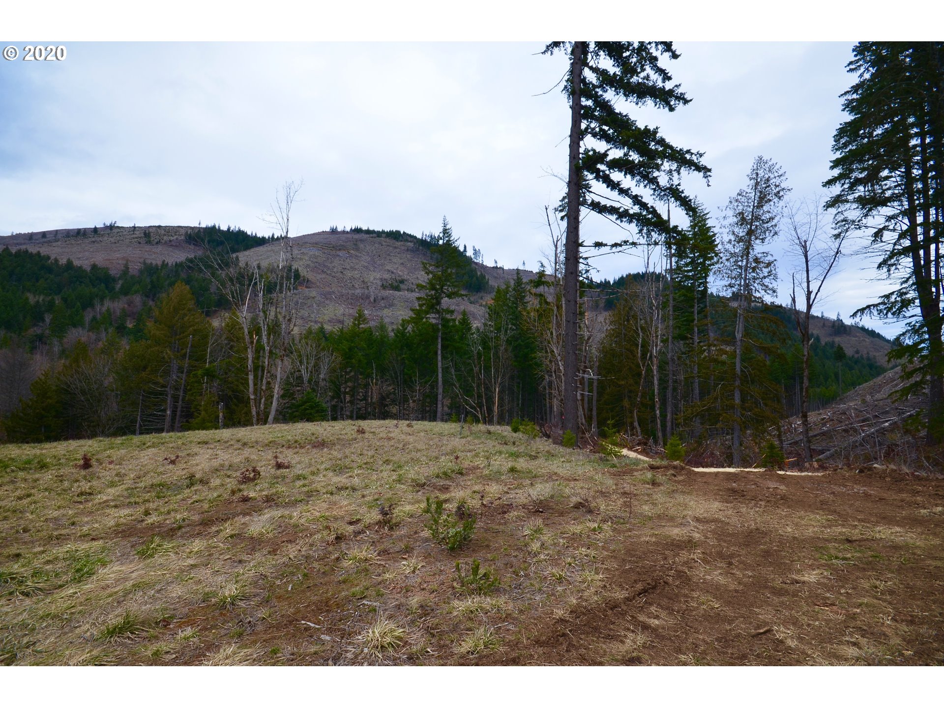 5700 Lost Lake Road, Unit 1 Hood River, OR 97031 - Photo 6 of 16 Gallery Image 6