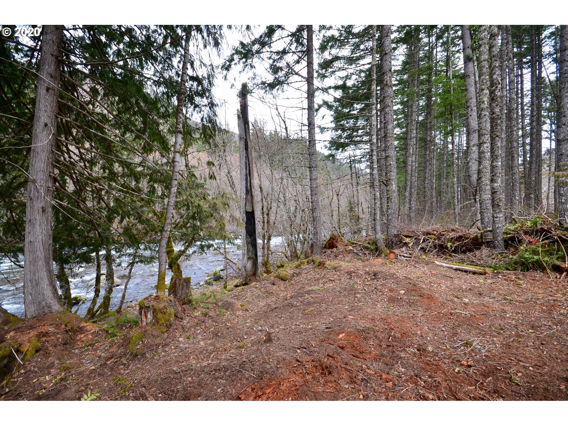 5700 Lost Lake Road, Unit 1 Hood River, OR 97031 - Photo 7 of 16 Gallery Image 7