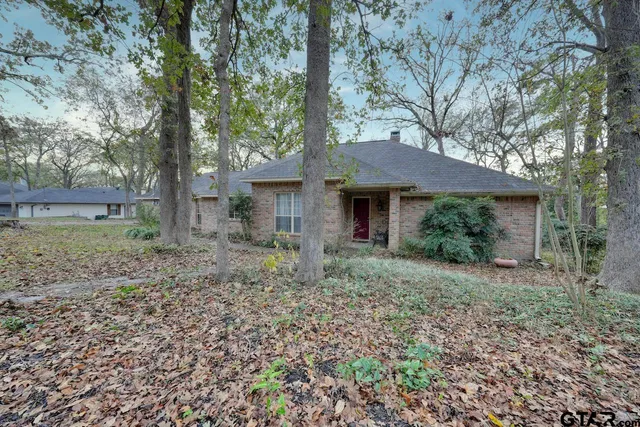 a view of a house with yard and a tree