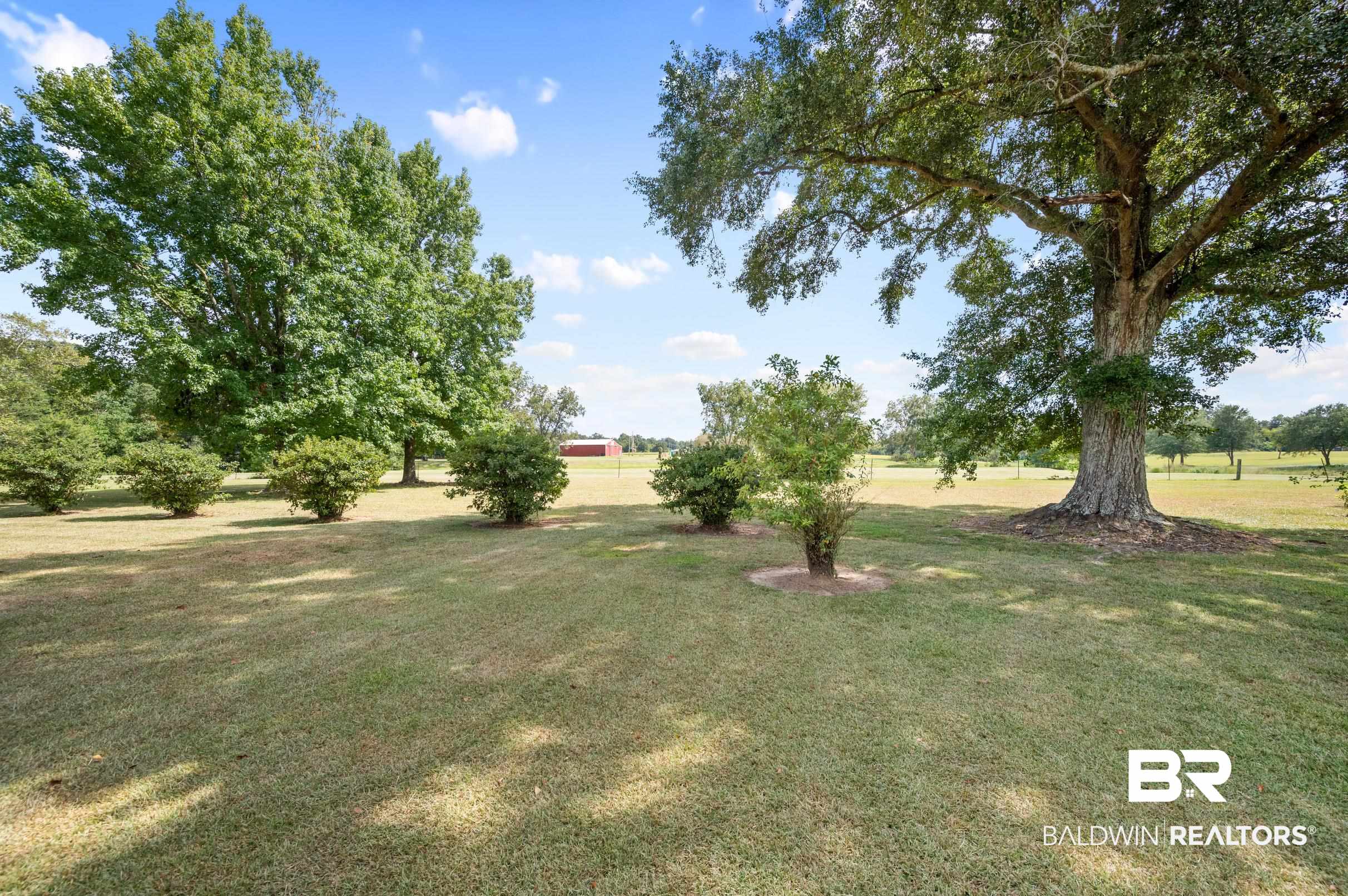 15600 Fackler Road Loxley, AL 36551 - Photo 32 of 51 View of yard