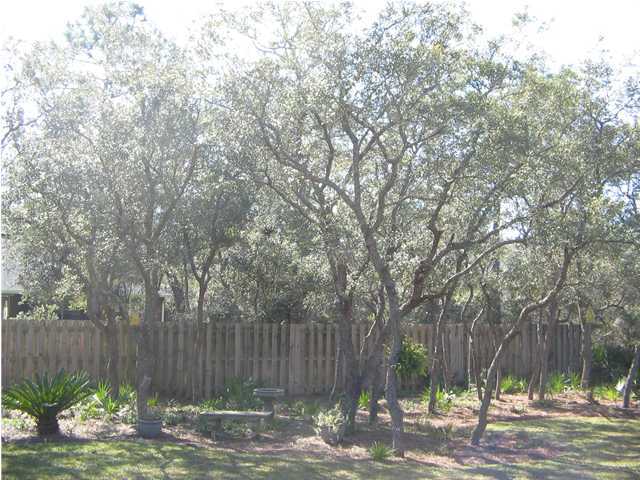 174 East Shipwreck Road Santa Rosa Beach, FL 32459 - Photo 11 of 11 a view of a backyard with large trees and wooden fence
