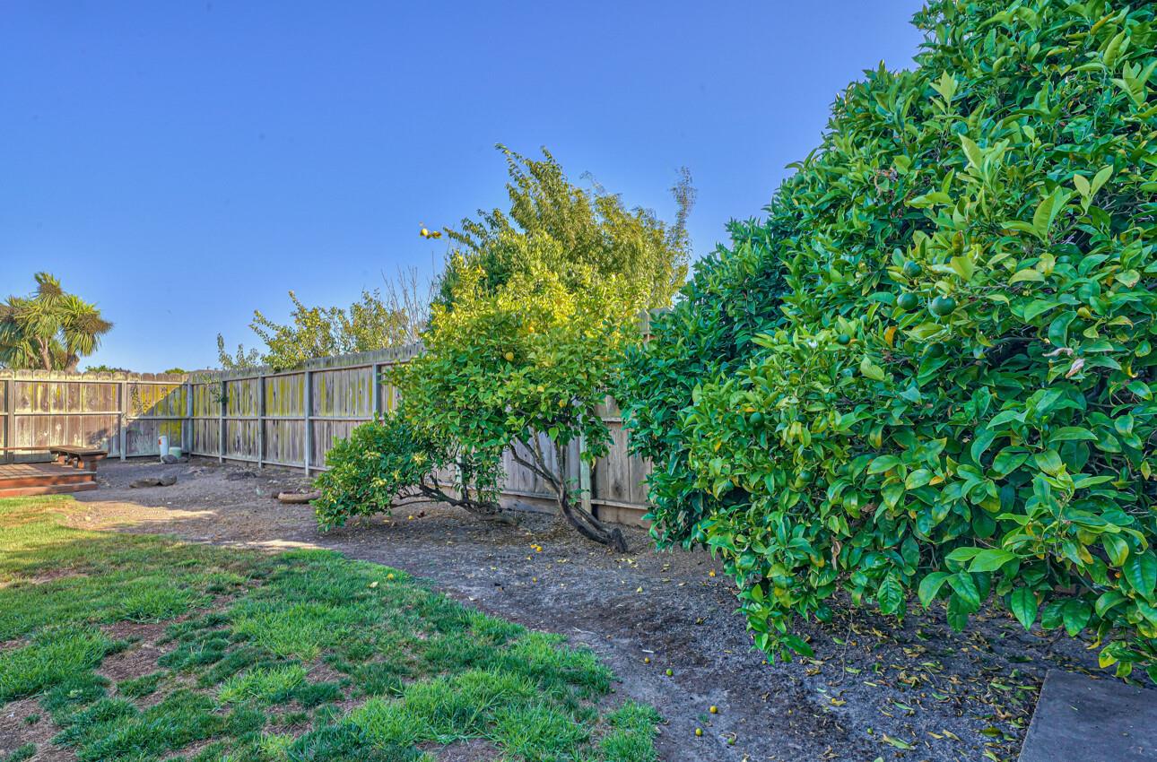 561 Palma Drive Salinas, CA 93901 - Photo 24 of 25 a backyard of a house with lots of green space