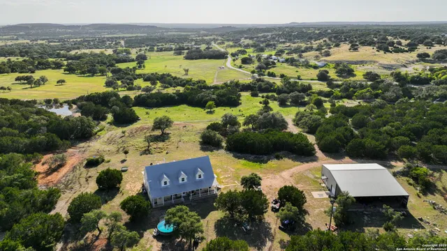 a view of a garden with plants