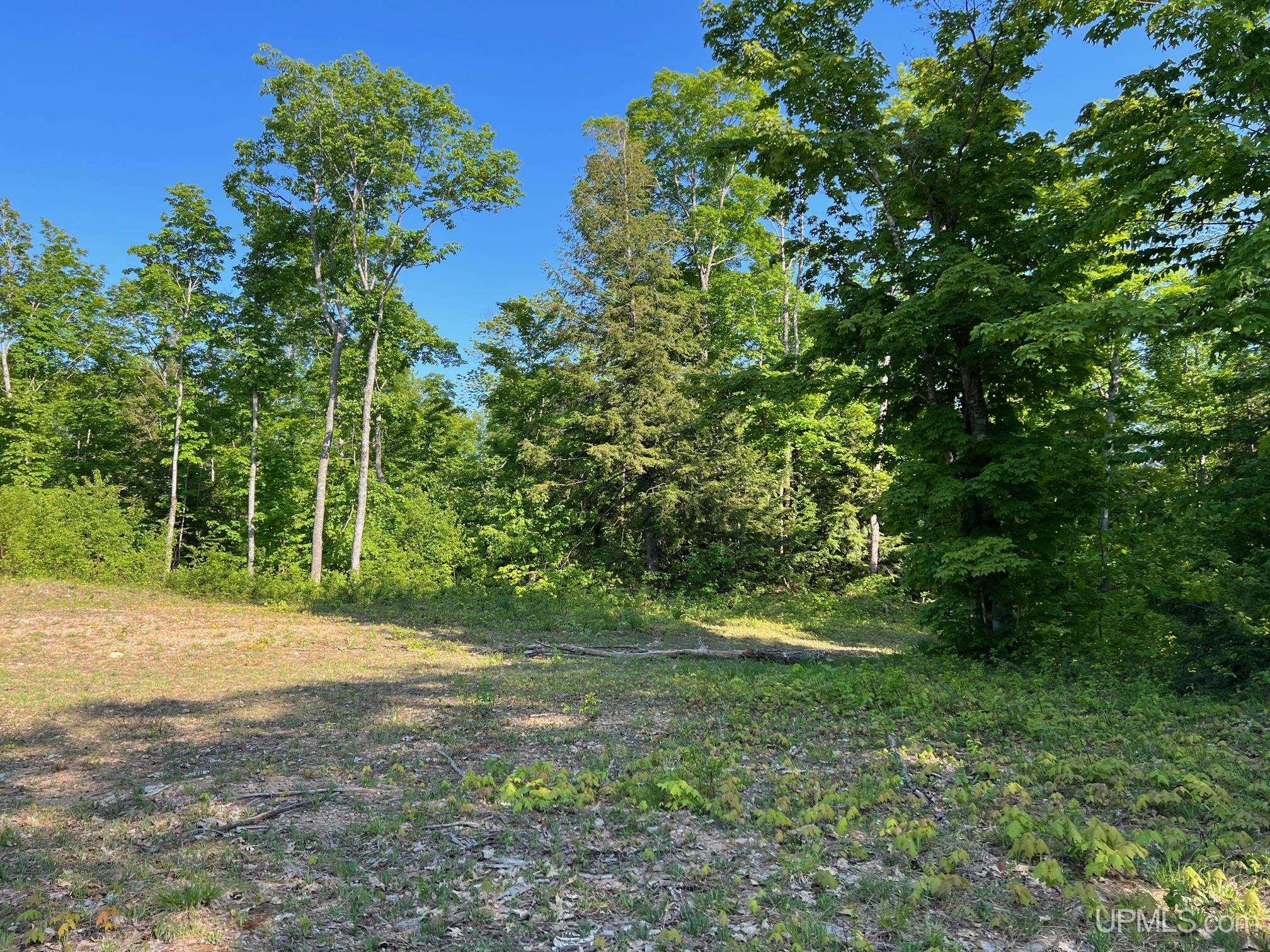Tbd359 Tbd359 Aaa Road Big Bay, MI 49808 - Photo 11 of 36