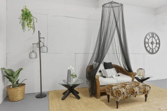a view of bedroom with furniture and a potted plant